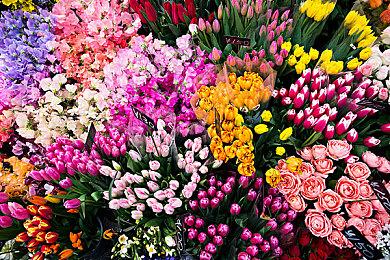 《绿色地狱VR》11月30日上线免费DLC 可游玩15小时左右